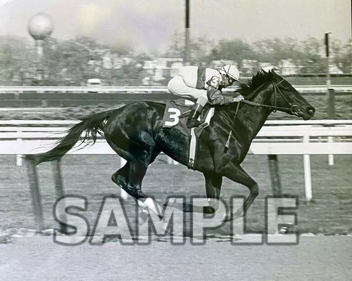 8x10 photo ruffian won the - ,